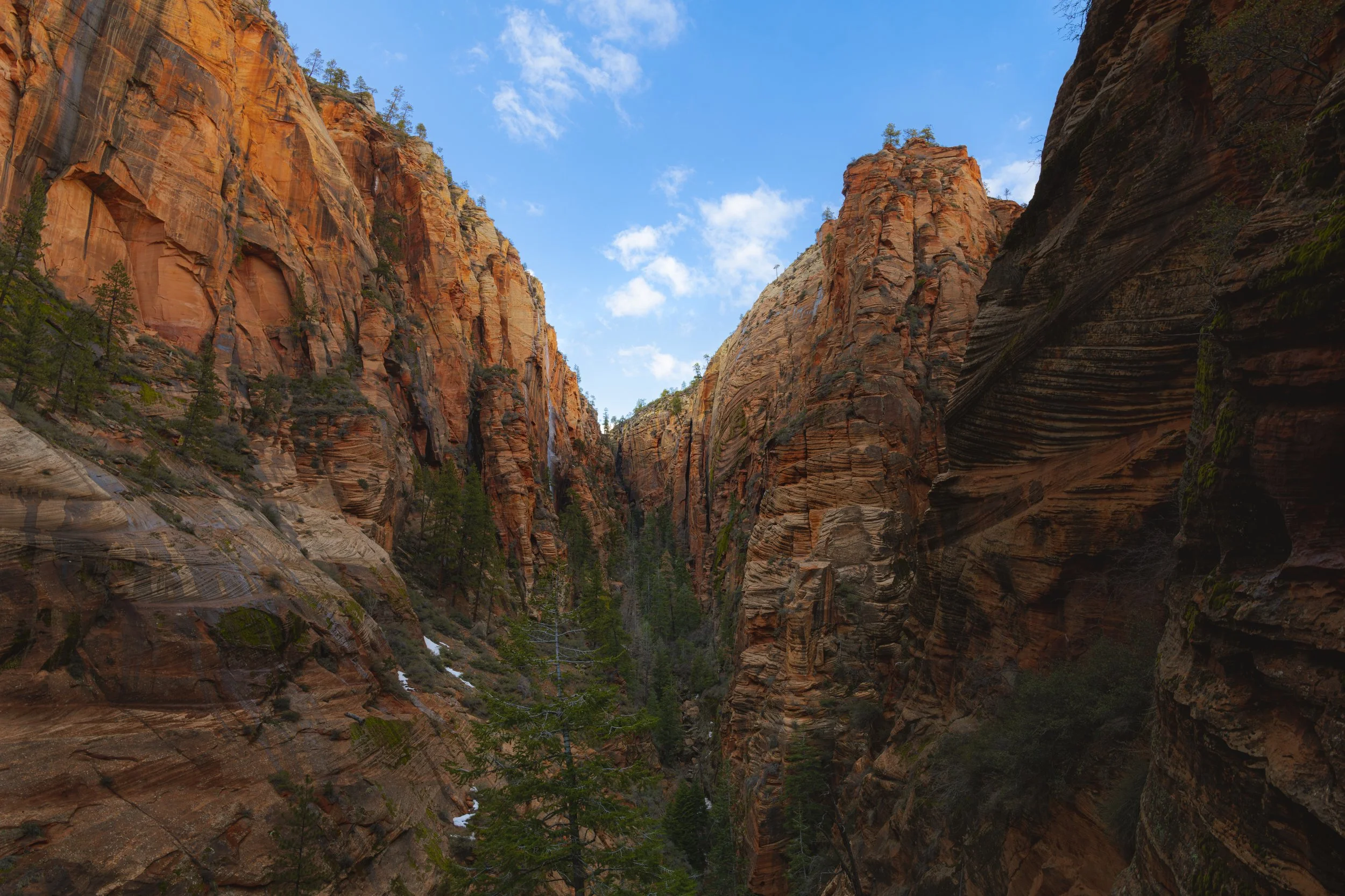 ZION — MICHAEL PITTS Photography